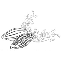 De La Feve Au Palais