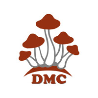 Dream Mushroom Center