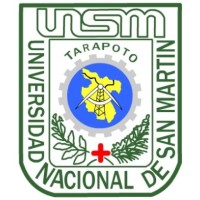 Universidad Nacional de San Martín