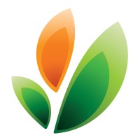 Belle Aire Creations