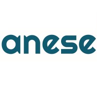 ANESE
