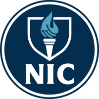 The National Innovation Council