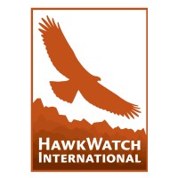 HawkWatch International