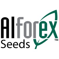 Alforex Seeds Alfalfa
