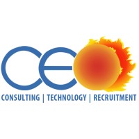 Centre for Excellence in Organization Private Limited