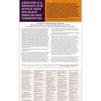 National Birth Equity Collaborative