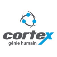 Cortex génie humain