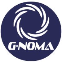 G-NOMA