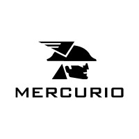 Mercurio Conveyor Belt