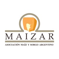 MAIZAR - Asociación Maíz y Sorgo Argentino