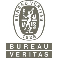 Bureau Veritas | Marine & Offshore logo