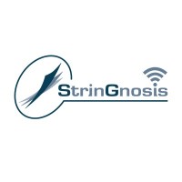 StrinGnosis® - Casing Design Software