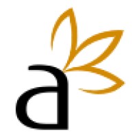 Aniise Natural Skincare and Cosmetics