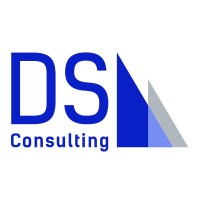 DS CONSULTING z