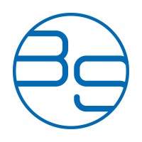 BS software development