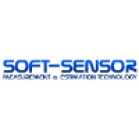 Soft-Sensor