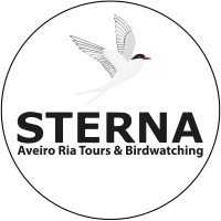 Sterna - Aveiro Ria Tours & Birdwachting