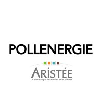 Pollenergie