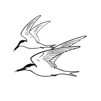 Sandwich Bay Bird Observatory Trust