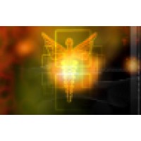 The American Institute of Health Care Professionals