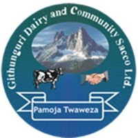 Githunguri Dairy and Community Sacco Limited