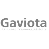 Gaviota - the human resources advisors