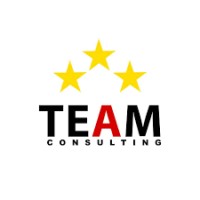 Das Team Consulting