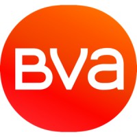 BVA Mystery Shopping