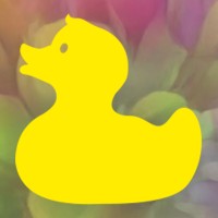 Wonderduck Agency
