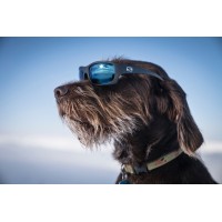 Skeleton Optics Eyewear, Inc