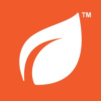 Mass Timber Construction Journal logo