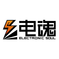 杭州电魂网络科技有限公司 Electronic Soul