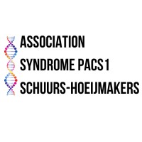 Association Syndrome PACS1 - Schuurs-Hoeijmakers