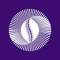 Pan-African Payment & Settlement System - PAPSS logo