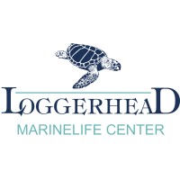 Loggerhead Marinelife Center