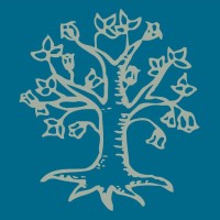 Fundación de Ciencias de la Salud