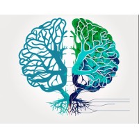 Global Federation for Medical Researchers GFMR