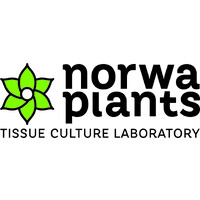Norwa Plants