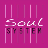 Soul System Menskracht