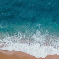 OliviafortheOcean.com