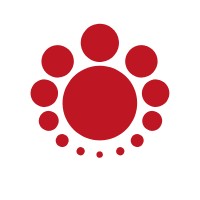 MundiCam Internacional