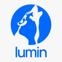 Lumin | Websites & Strategy