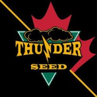 Thunder Seed