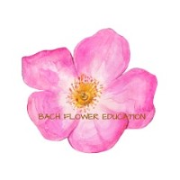 Bach Flower Education, Living Enrichment