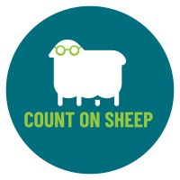 Count On Sheep