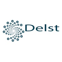 Delst South Asia