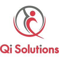 Qi Solutions (Marketing, Publishing and IT for Logistics)
