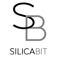 Silica Bit