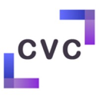 Capital Venture Consulting