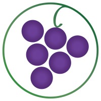 WTSO (Wines 'Til Sold Out)